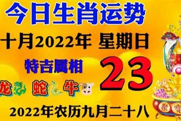 关于重阳节的传说 重阳节起源的传说