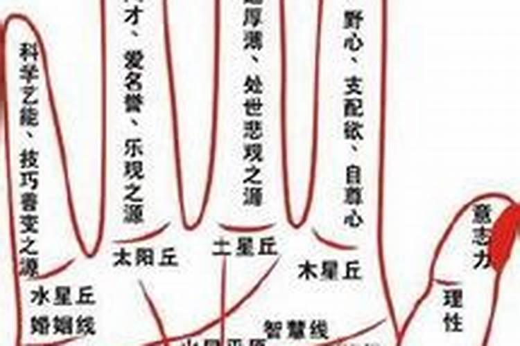 最容易招小人的八字特征