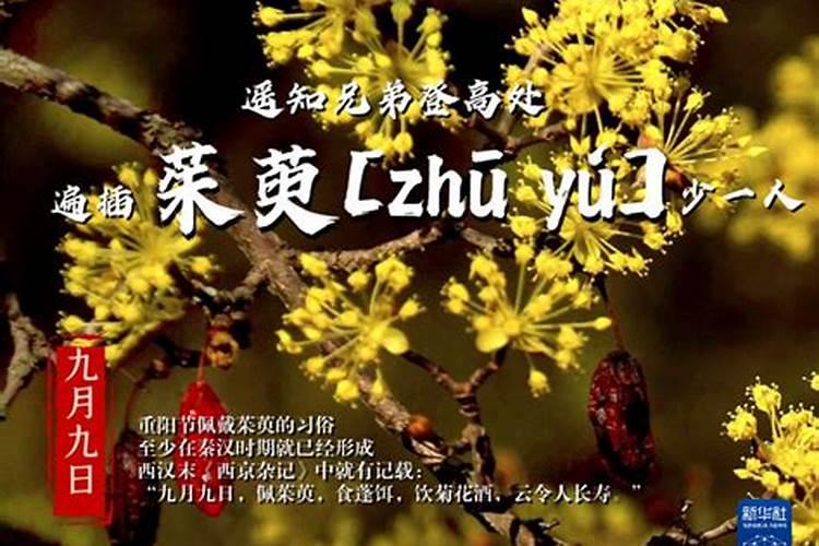 最近运气不好,工作不顺,该怎么办呢？