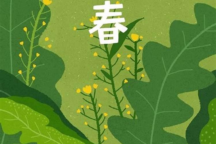 对房子风水或房主有影响吗,大家说说