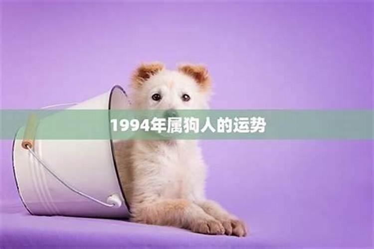 94年的山头火的婚配 94年属狗人一生命运走势如何？