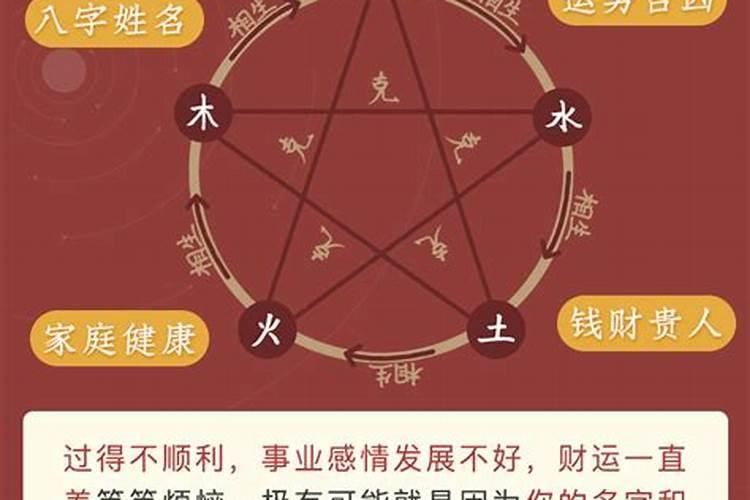 梦见很漂亮的蛇的预兆