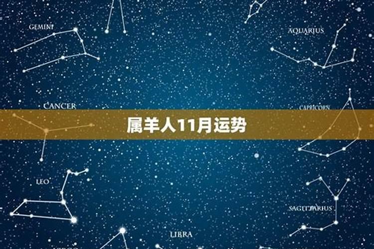十一月出生的属龙人命运好吗