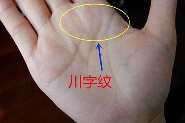 左手川字掌看你财运状况如何