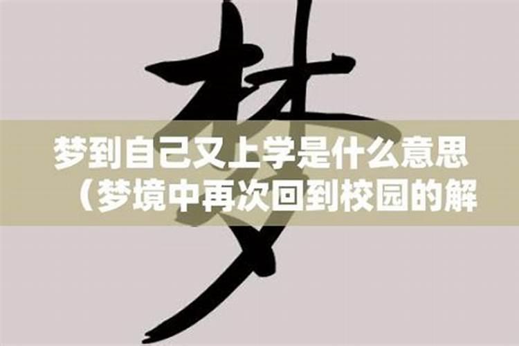 梦到回到学校上学预示着什么？