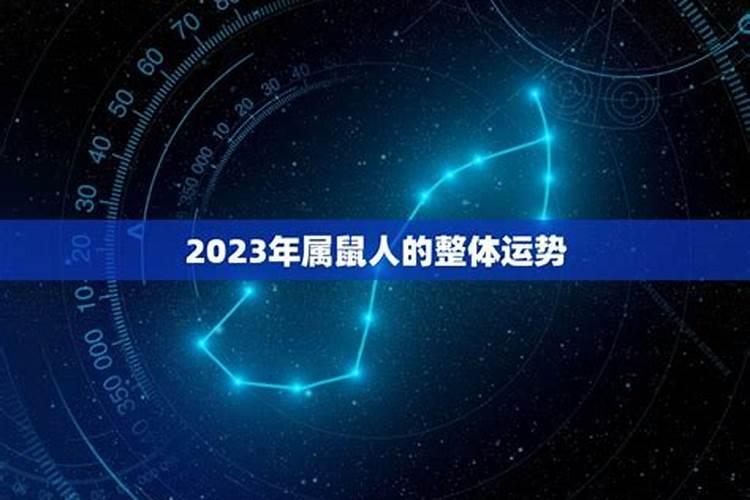 84年的鼠2025年的运势及运程