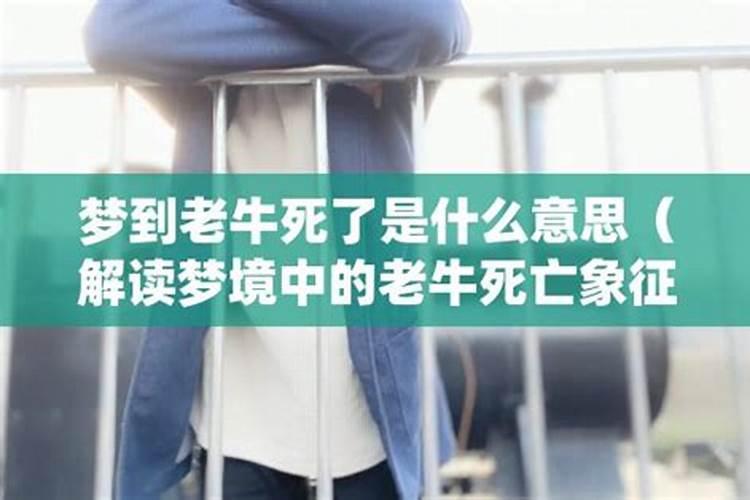 76龙男2025每月财运