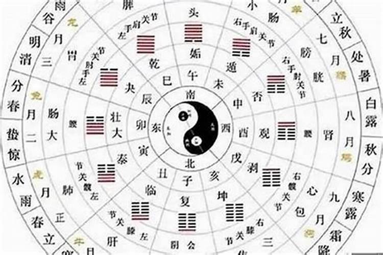属鼠和属蛇的合不合