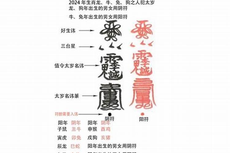 1972年的鼠2025年每月运气