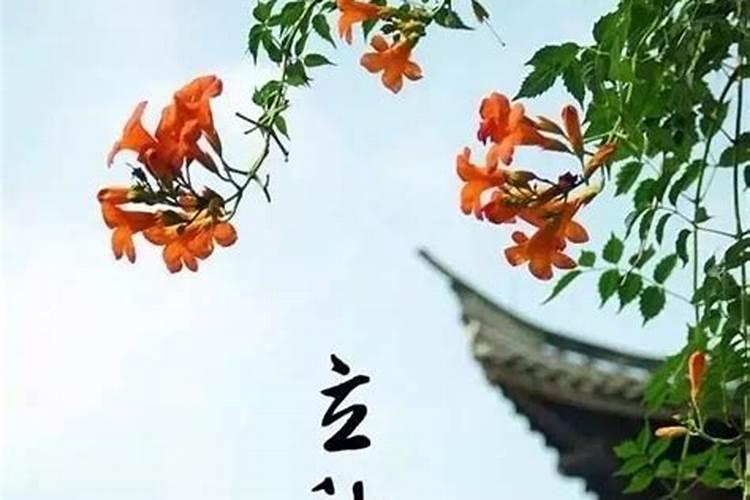 二十四节气月份对应表