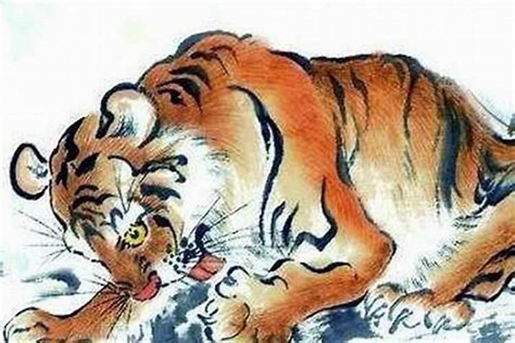 猪年几月出生的人命好