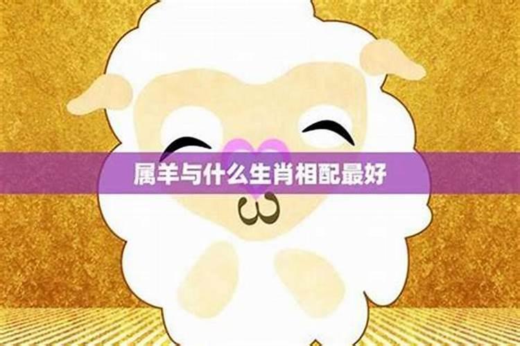 属羊男最忌讳三个生肖