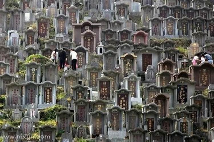 梦见坟漏水的预兆