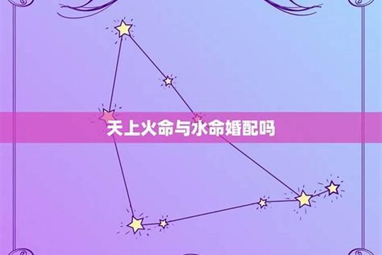 87年属兔人2023年运势及运程详解 87年属兔人2023年的全年运势