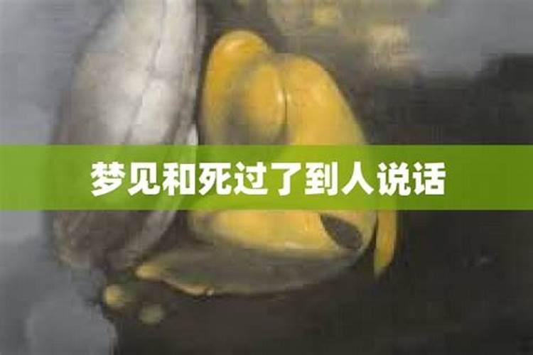 梦见和死了的人说话是什么预兆周公解梦