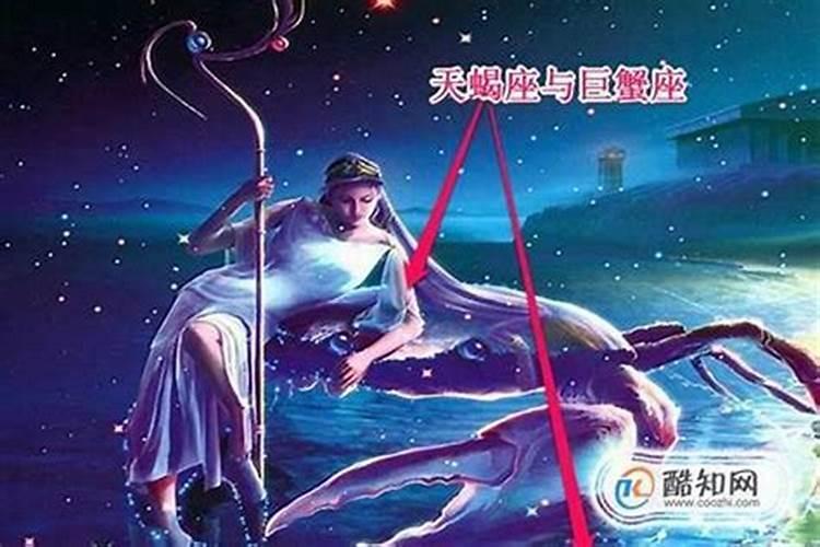 天蝎男喜欢事业女？