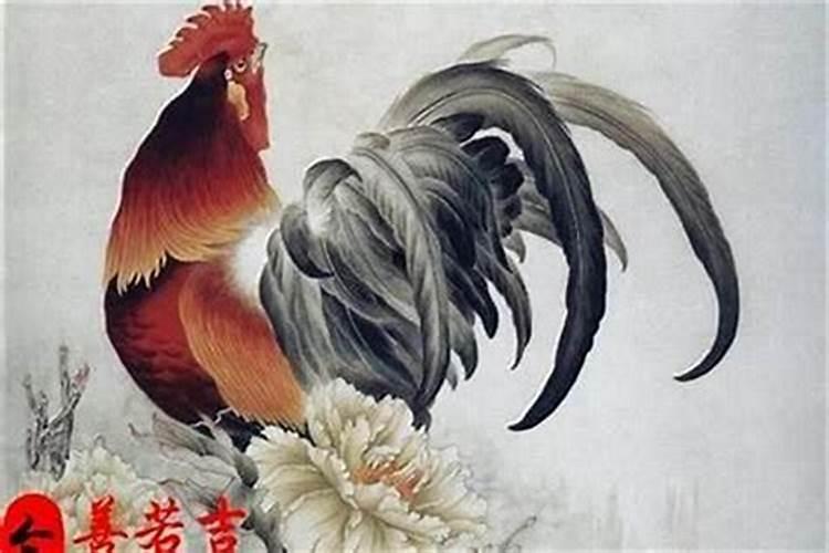 1993属鸡今年运势如何2024 93年生肖鸡事业有新挑战