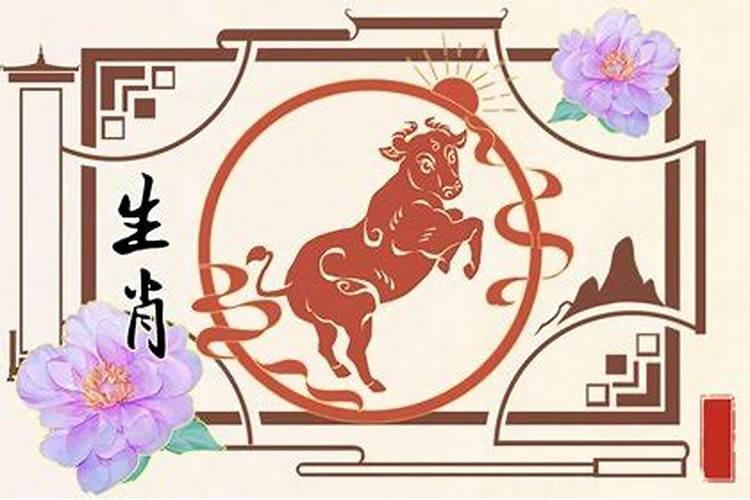 八字婚姻:属牛和属牛的相配吗 八字合不合财？