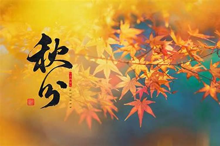梦见朋友变老变丑的预兆