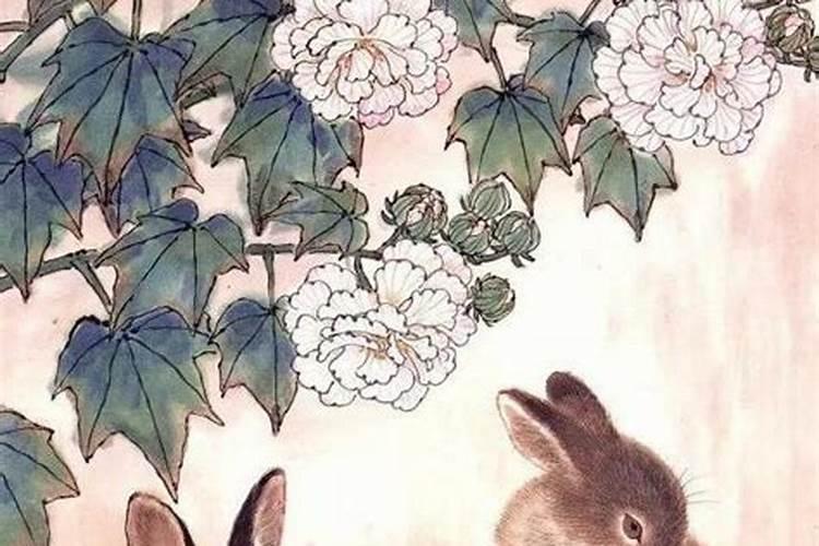 立冬出生的兔宝宝好不好