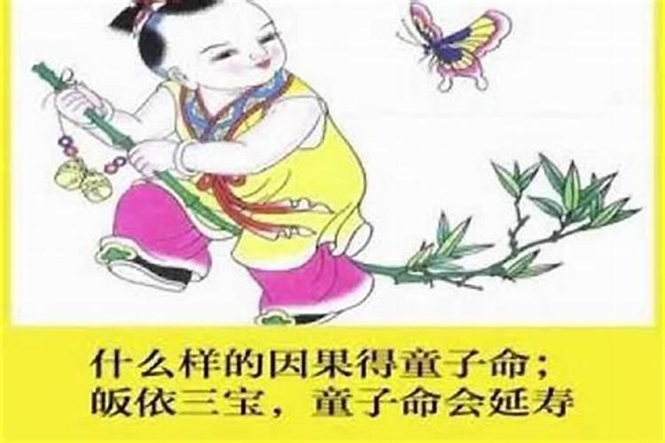1997年农历九月初九酉时出生五行缺什么