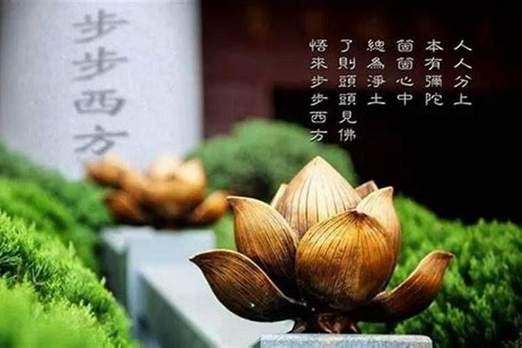 谷雨出生的属猪宝宝命好不好