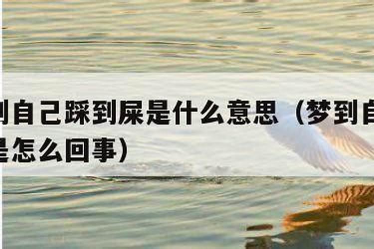 梦见踩了一脚屎是怎么回事？