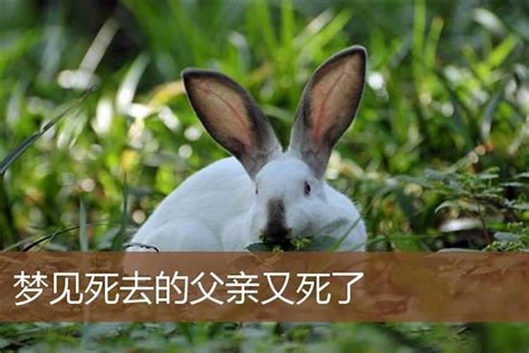 梦见死去的爸爸又死了的预兆