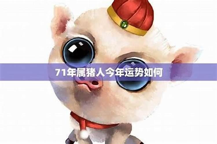 哪个季节出生的虎好 冬天出生的虎宝宝好不好