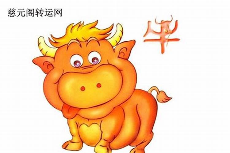 本命年牛戴什么好 本命年牛戴什么最好