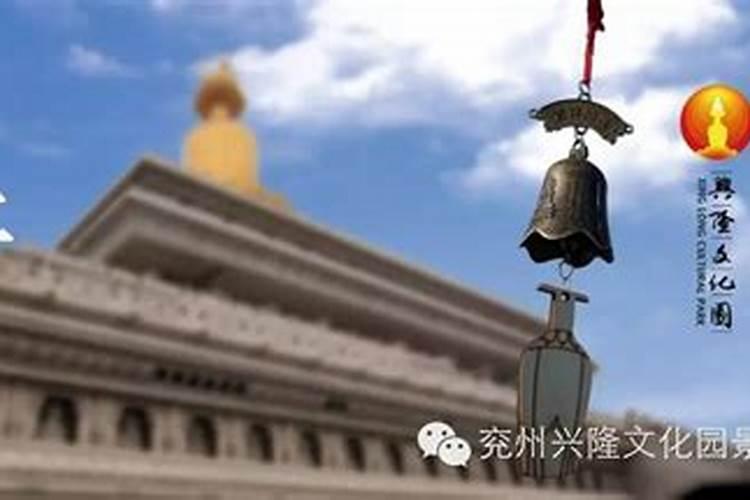 属马人几月出生大富大贵