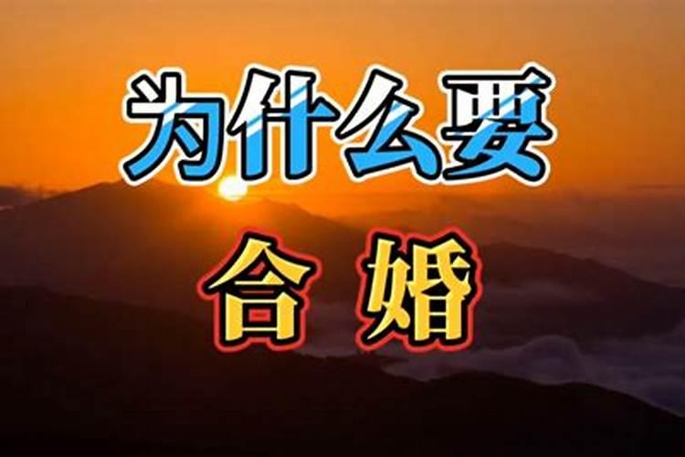 1987年7月份出生的属兔人婚姻命运好不好？