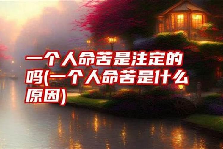 2025年天干地支属什么