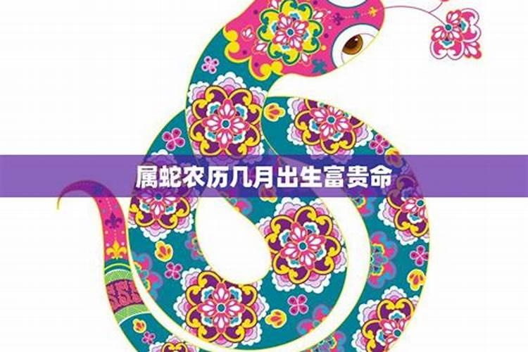 77年属蛇人2024年每月运势