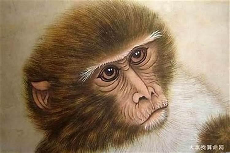 1968年属猴男人的命运,1968年属猴男2022 年运势