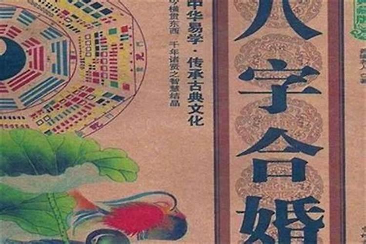 属蛇和属鼠的合不合