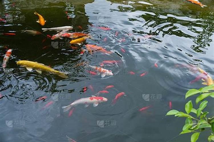 鬼节出生的孩子命很硬吗？