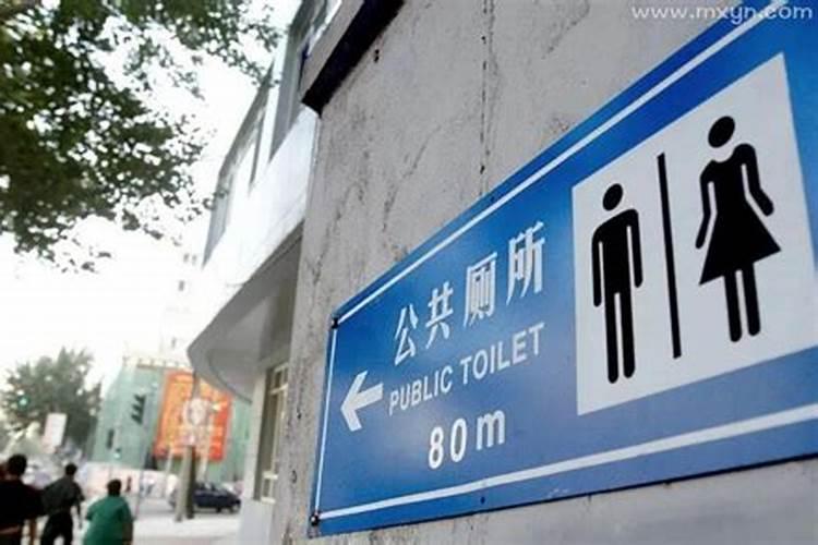 71年属猪男在2025年的全年运势