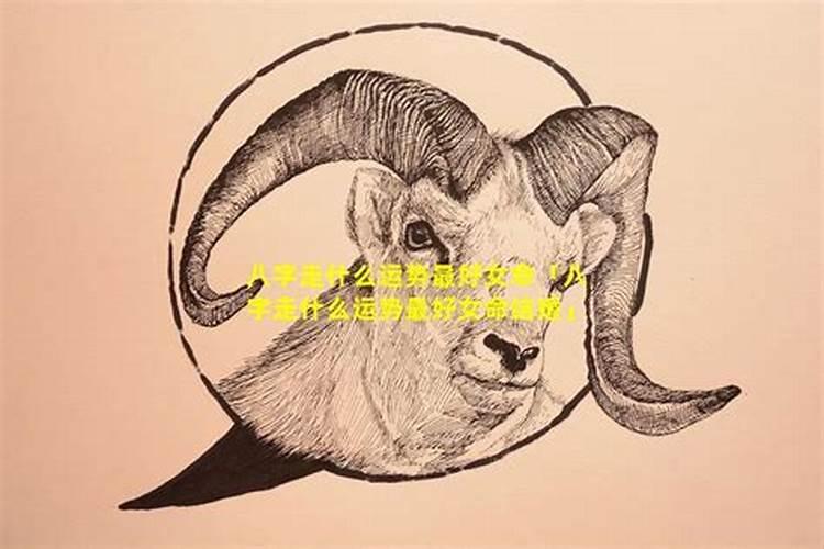 梦见老婆开车撞了人没事