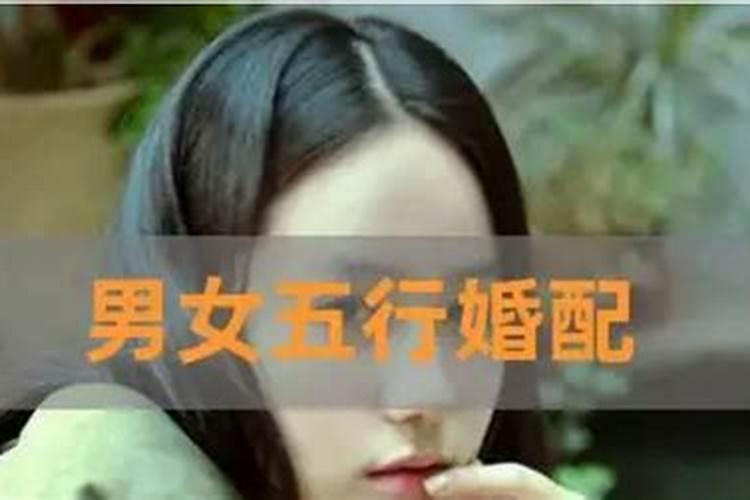 梦见自己的肚子里有孩子