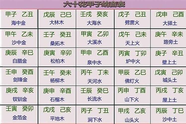 年命纳音什么意思