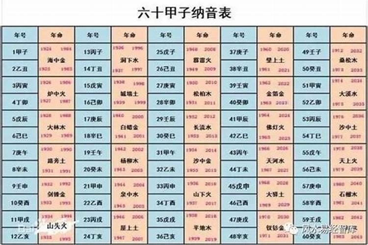 年柱纳音是什么意思