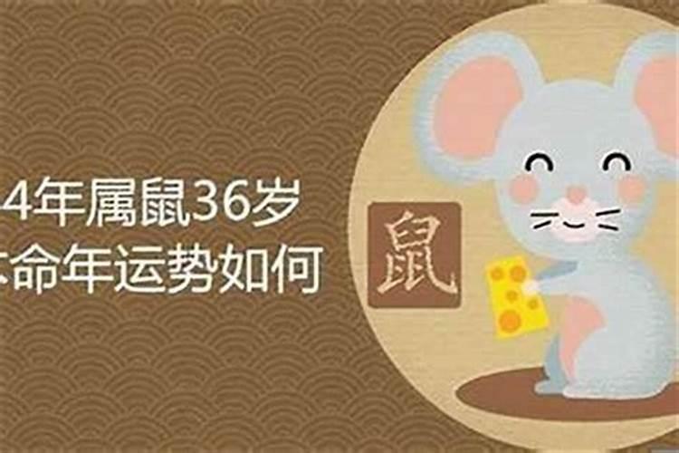 2025年4月25日属鼠运势