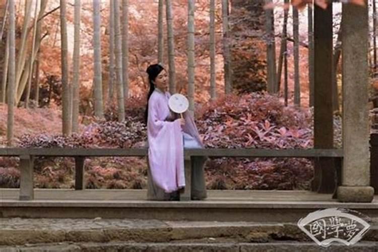 82年属狗女人一辈子的命运百度问一问