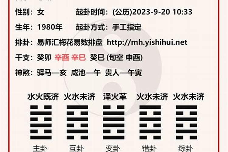 1967年2月5号属马的人的命运怎样？