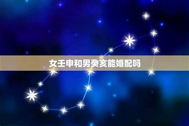 81年属鸡人在2025年的全年运势