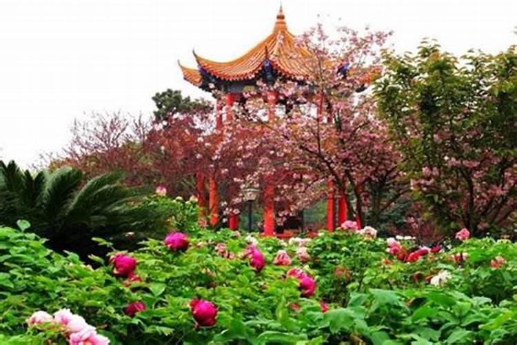 2023大年初一属什么生肖