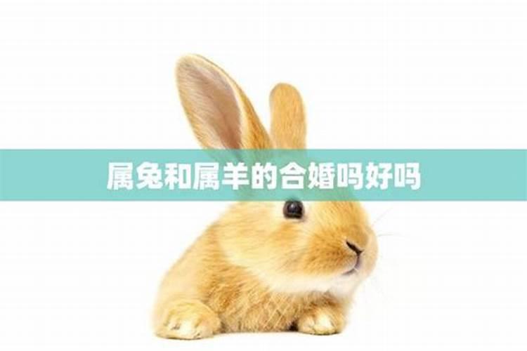 梦见妈妈变年轻了