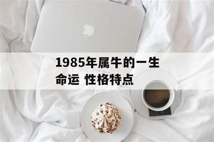 如何化解85年属牛人39岁这一灾年？