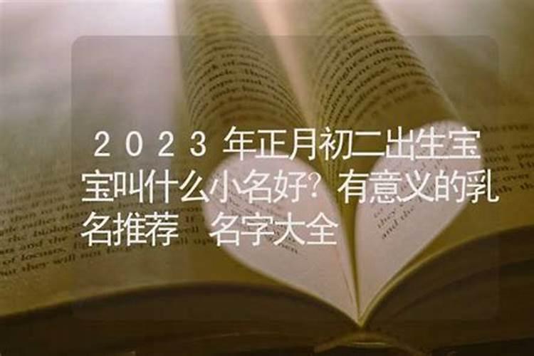 2024年正月初二出生丁姓女孩名字怎么取